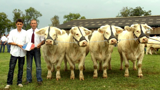 Thierry Prain Charolais Marault 2011